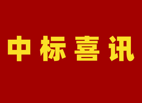 國網(wǎng)新疆電力有限公司2024年第二次配網(wǎng)物資協(xié)議庫存公開招標(biāo)采購項(xiàng)目中標(biāo)結(jié)果公告